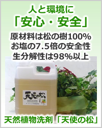 天然植物洗剤　天使の松を使用します。